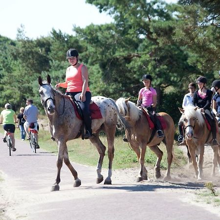 Duinhuisje 11 - Bungalowpark Mooyeveld - Uniek Gelegen In De Duinen! Egmond-Binnen Zewnętrze zdjęcie