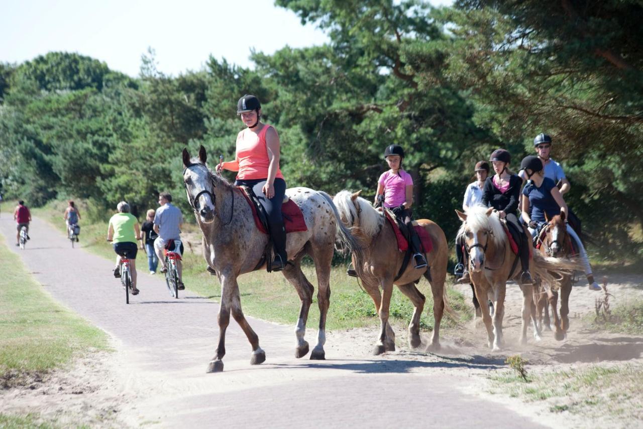 Duinhuisje 11 - Bungalowpark Mooyeveld - Uniek Gelegen In De Duinen! Egmond-Binnen Zewnętrze zdjęcie