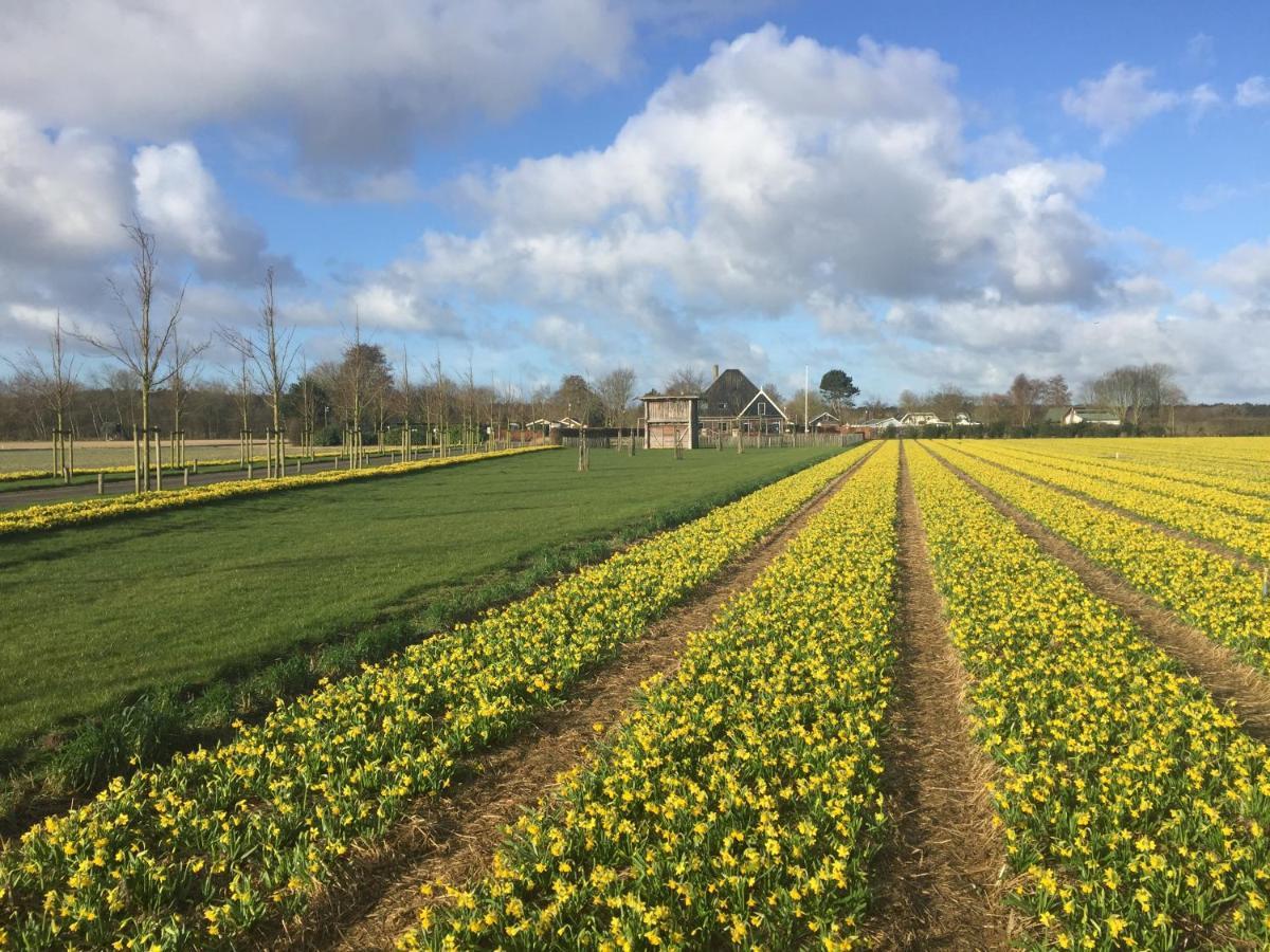 Duinhuisje 11 - Bungalowpark Mooyeveld - Uniek Gelegen In De Duinen! Egmond-Binnen Zewnętrze zdjęcie