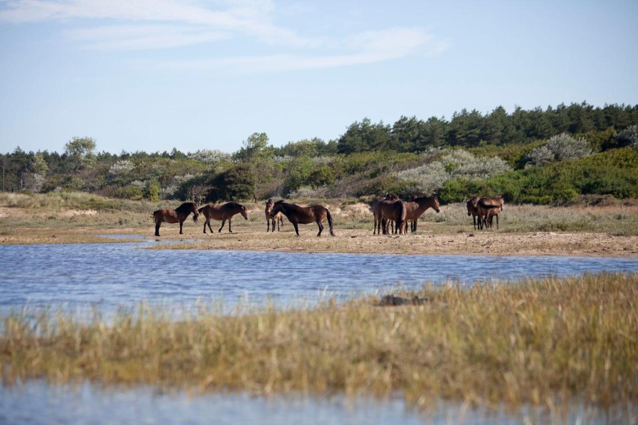 Duinhuisje 11 - Bungalowpark Mooyeveld - Uniek Gelegen In De Duinen! Egmond-Binnen Zewnętrze zdjęcie